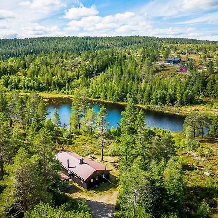 Ro I Sjelen. Hytte Til Leie Pa Skrim. Kongsberg Extérieur photo