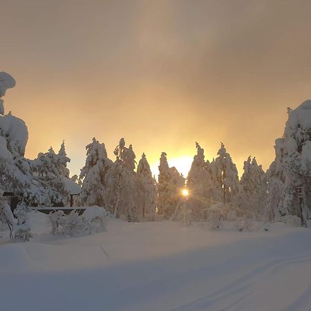 Ro I Sjelen. Hytte Til Leie Pa Skrim. Kongsberg Extérieur photo