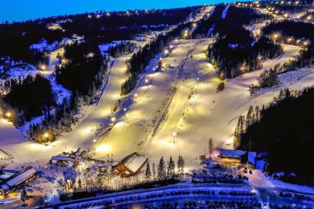 Ro I Sjelen. Hytte Til Leie Pa Skrim. Kongsberg Extérieur photo