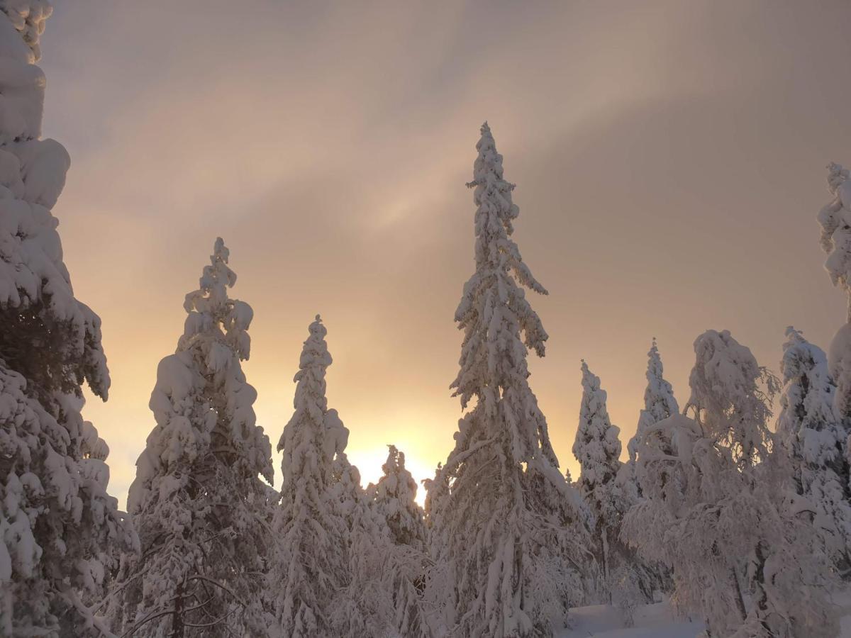 Ro I Sjelen. Hytte Til Leie Pa Skrim. Kongsberg Extérieur photo
