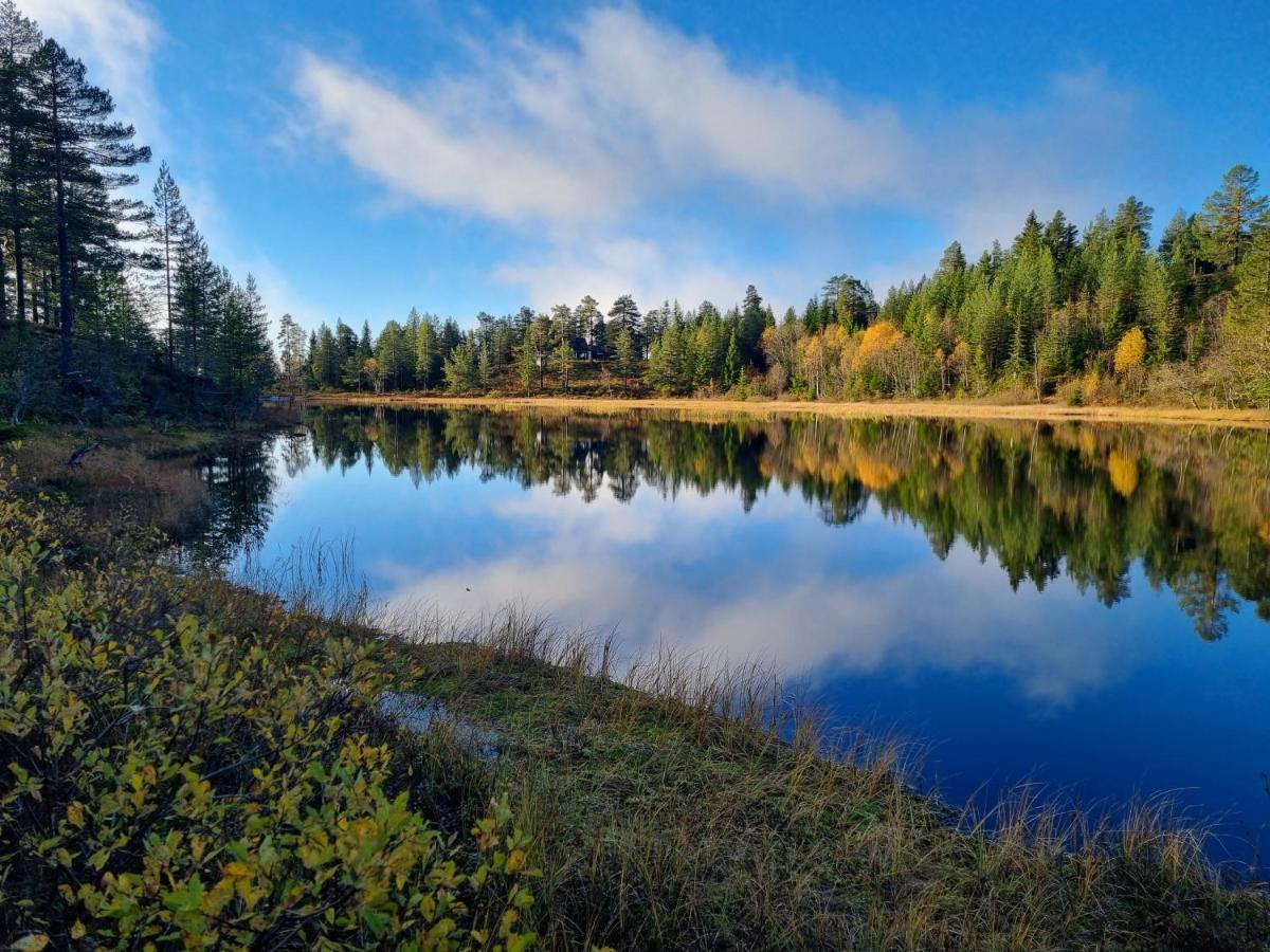 Ro I Sjelen. Hytte Til Leie Pa Skrim. Kongsberg Extérieur photo