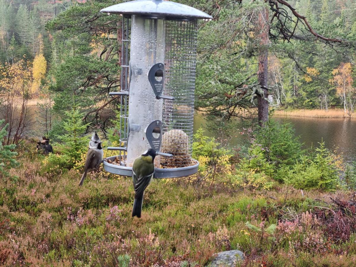Ro I Sjelen. Hytte Til Leie Pa Skrim. Kongsberg Extérieur photo