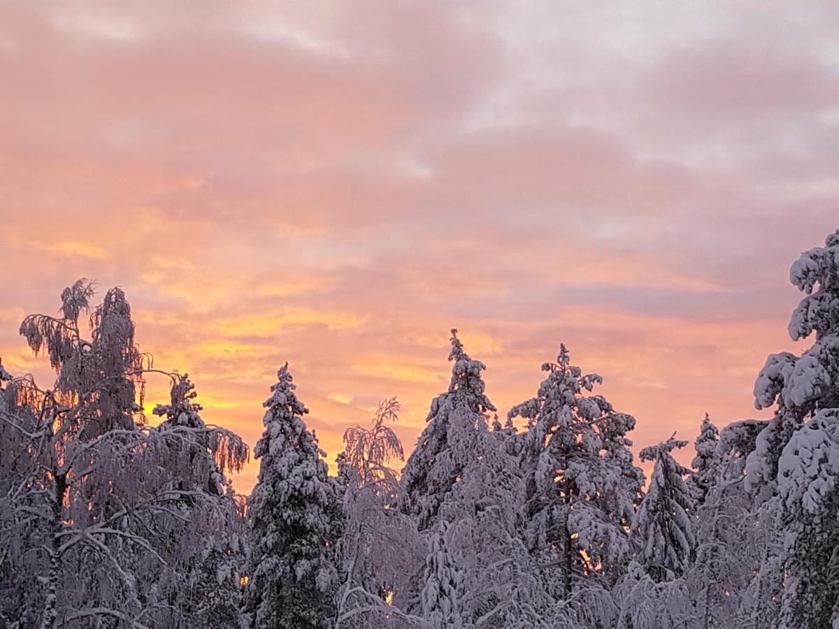 Ro I Sjelen. Hytte Til Leie Pa Skrim. Kongsberg Extérieur photo