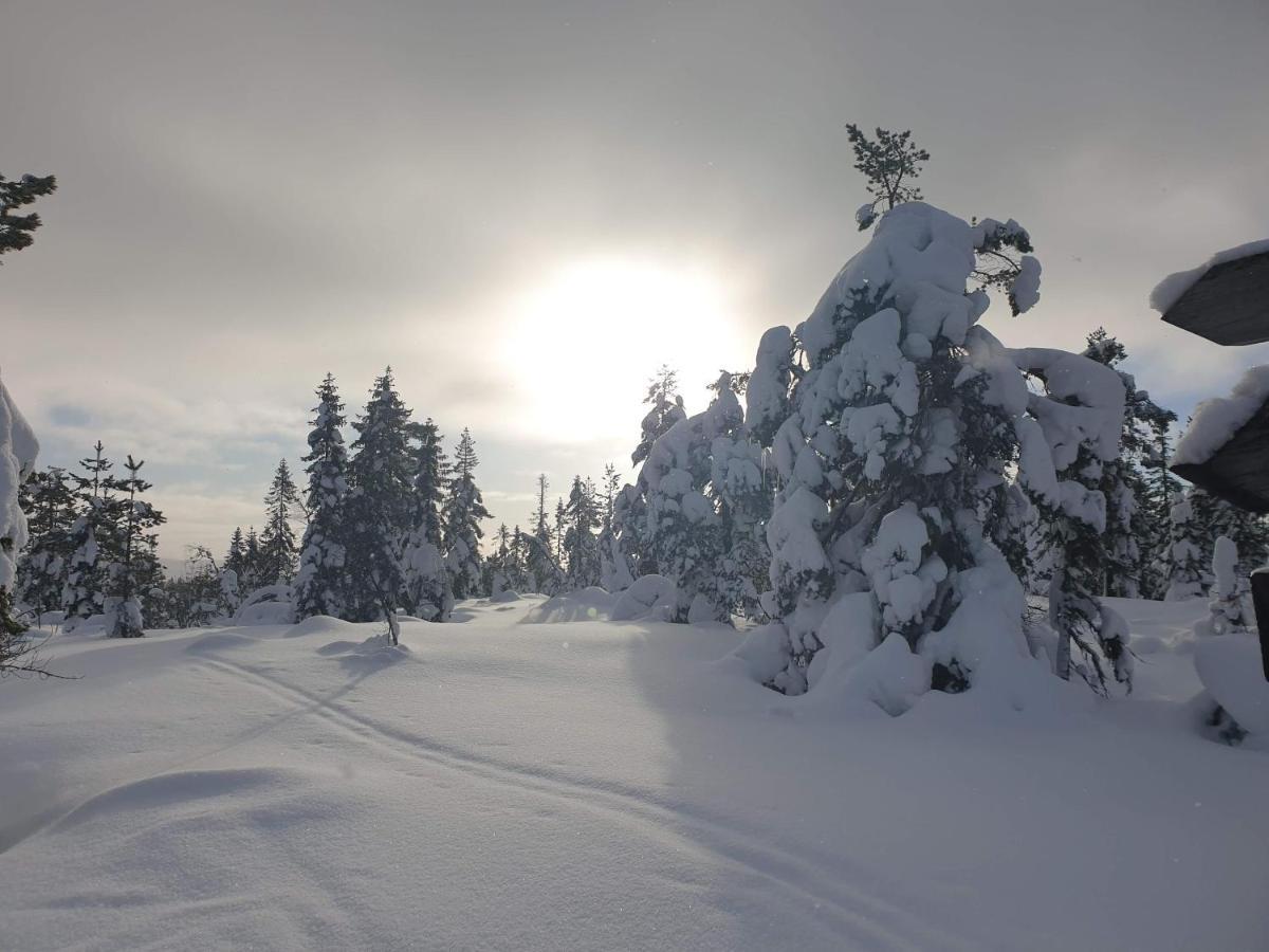 Ro I Sjelen. Hytte Til Leie Pa Skrim. Kongsberg Extérieur photo