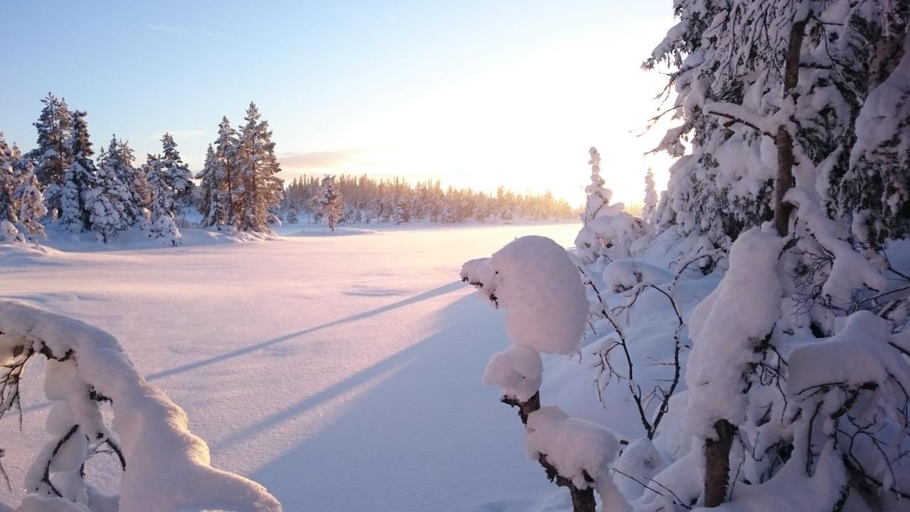 Ro I Sjelen. Hytte Til Leie Pa Skrim. Kongsberg Extérieur photo