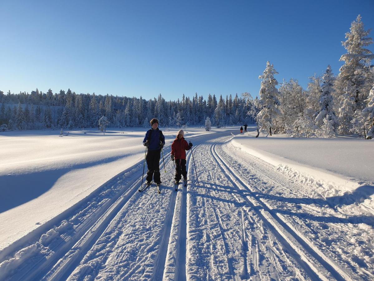 Ro I Sjelen. Hytte Til Leie Pa Skrim. Kongsberg Extérieur photo