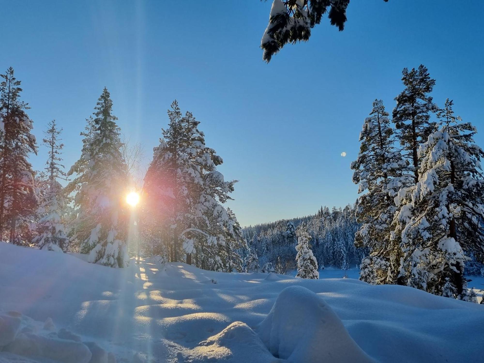 Ro I Sjelen. Hytte Til Leie Pa Skrim. Kongsberg Extérieur photo