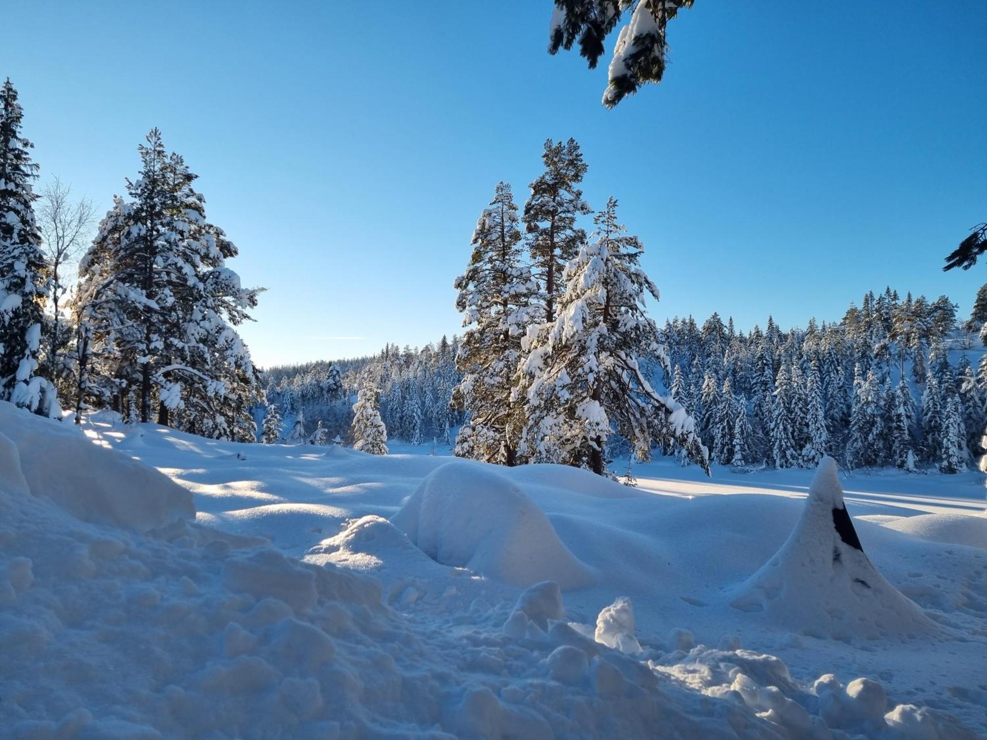 Ro I Sjelen. Hytte Til Leie Pa Skrim. Kongsberg Extérieur photo