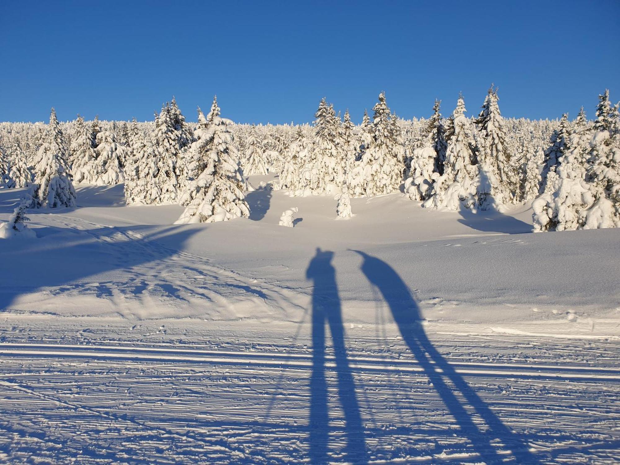 Ro I Sjelen. Hytte Til Leie Pa Skrim. Kongsberg Extérieur photo