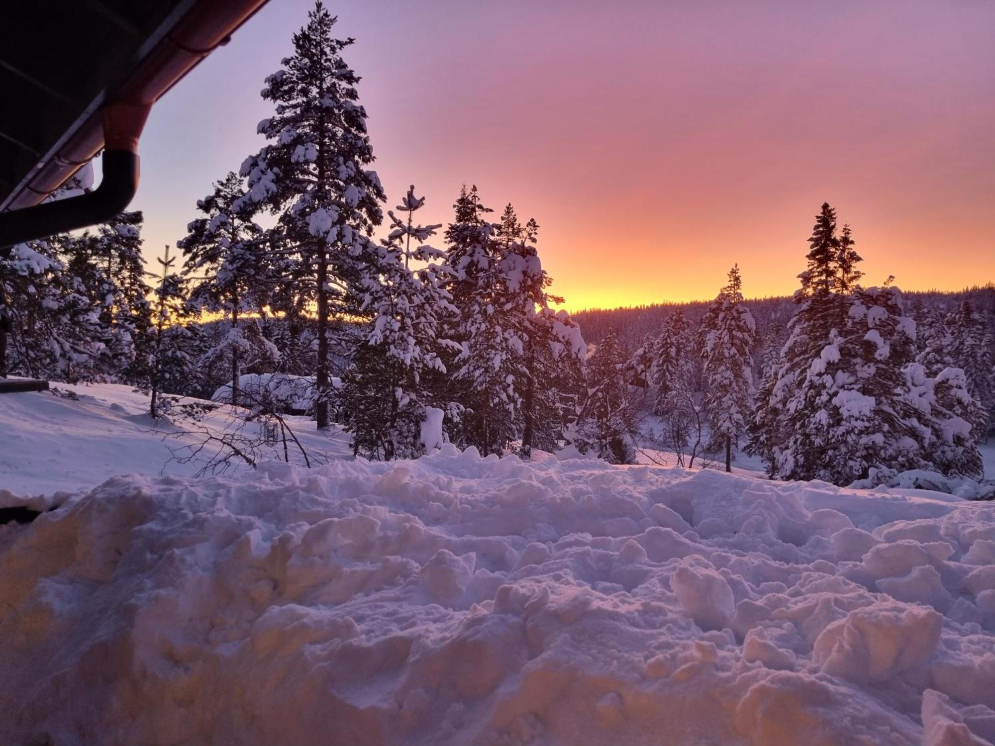 Ro I Sjelen. Hytte Til Leie Pa Skrim. Kongsberg Extérieur photo