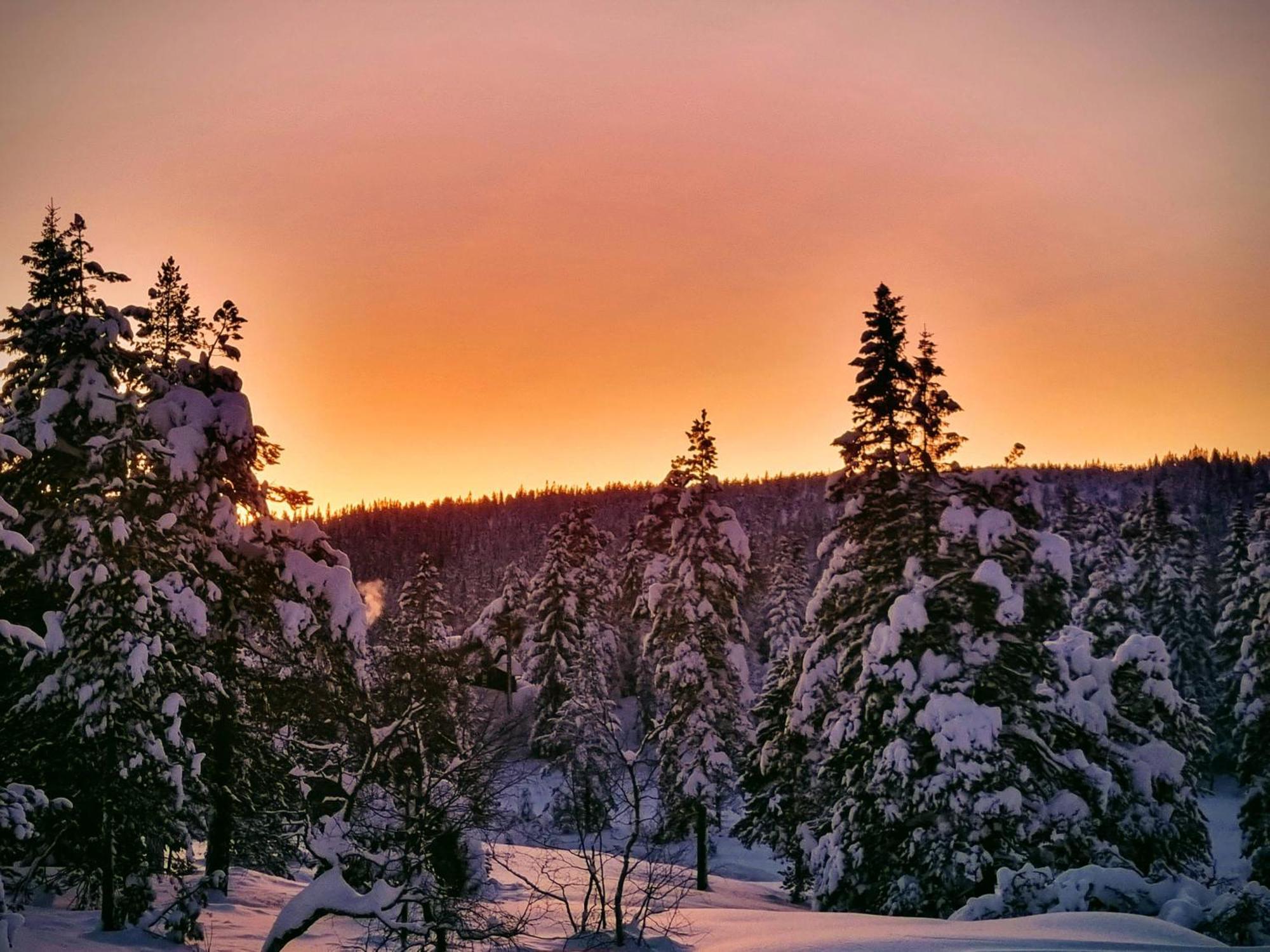 Ro I Sjelen. Hytte Til Leie Pa Skrim. Kongsberg Extérieur photo