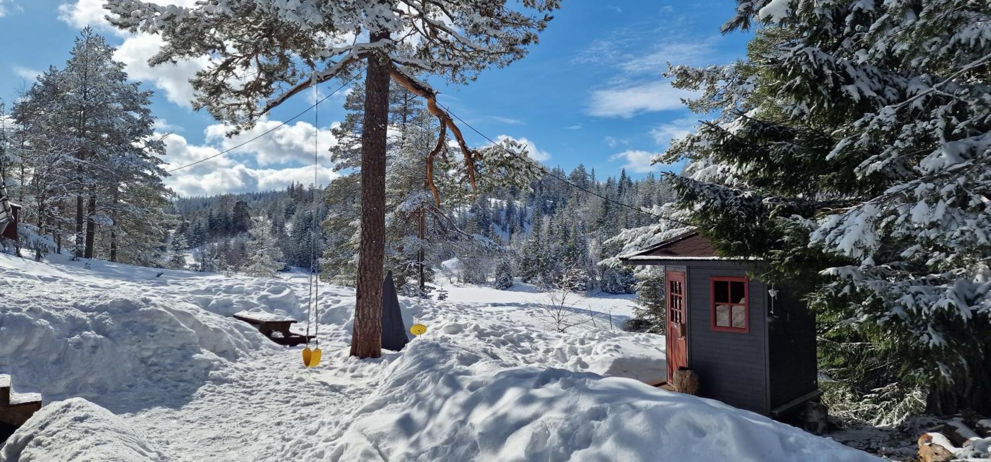 Ro I Sjelen. Hytte Til Leie Pa Skrim. Kongsberg Extérieur photo