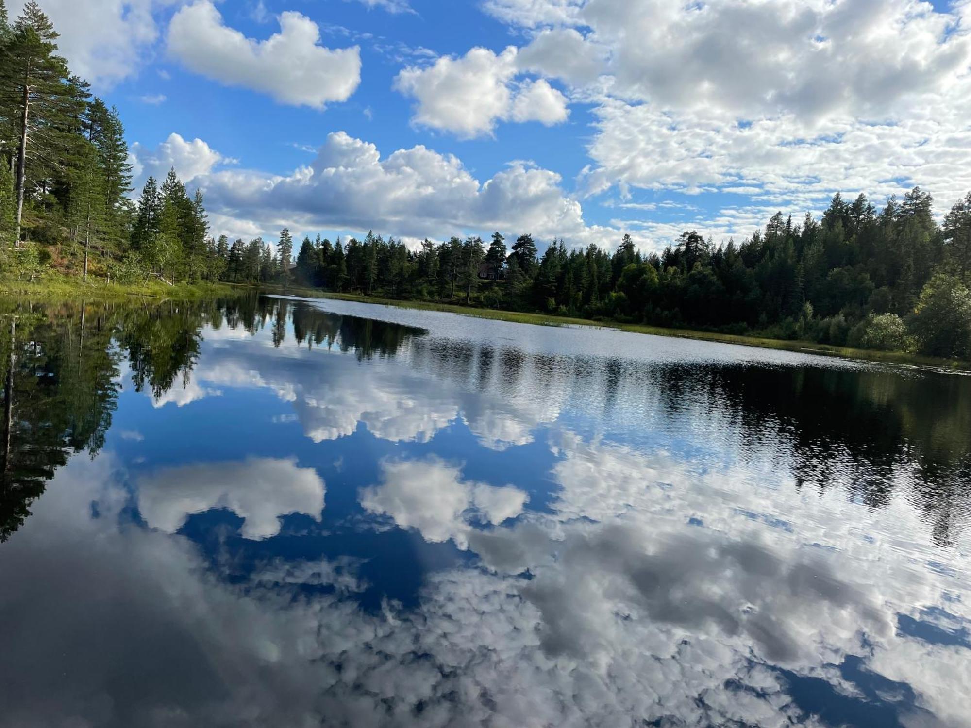 Ro I Sjelen. Hytte Til Leie Pa Skrim. Kongsberg Extérieur photo