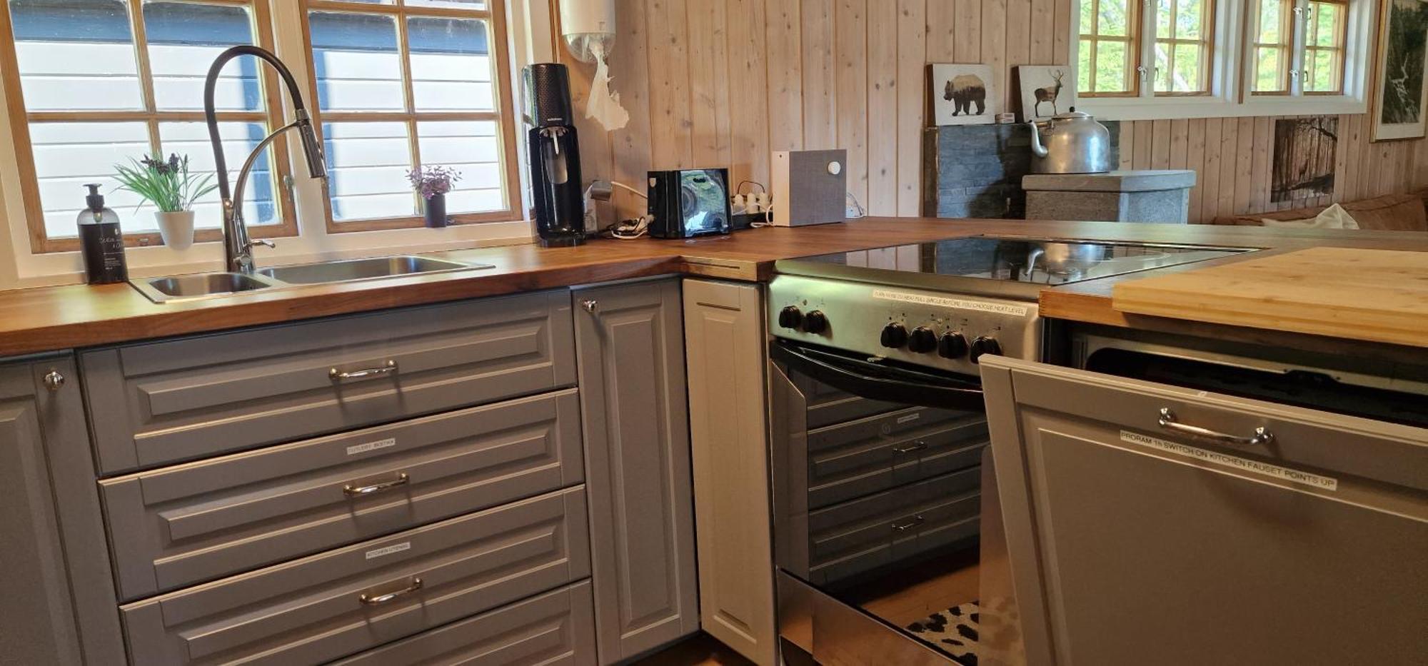 Ro I Sjelen. Hytte Til Leie Pa Skrim. Kongsberg Extérieur photo