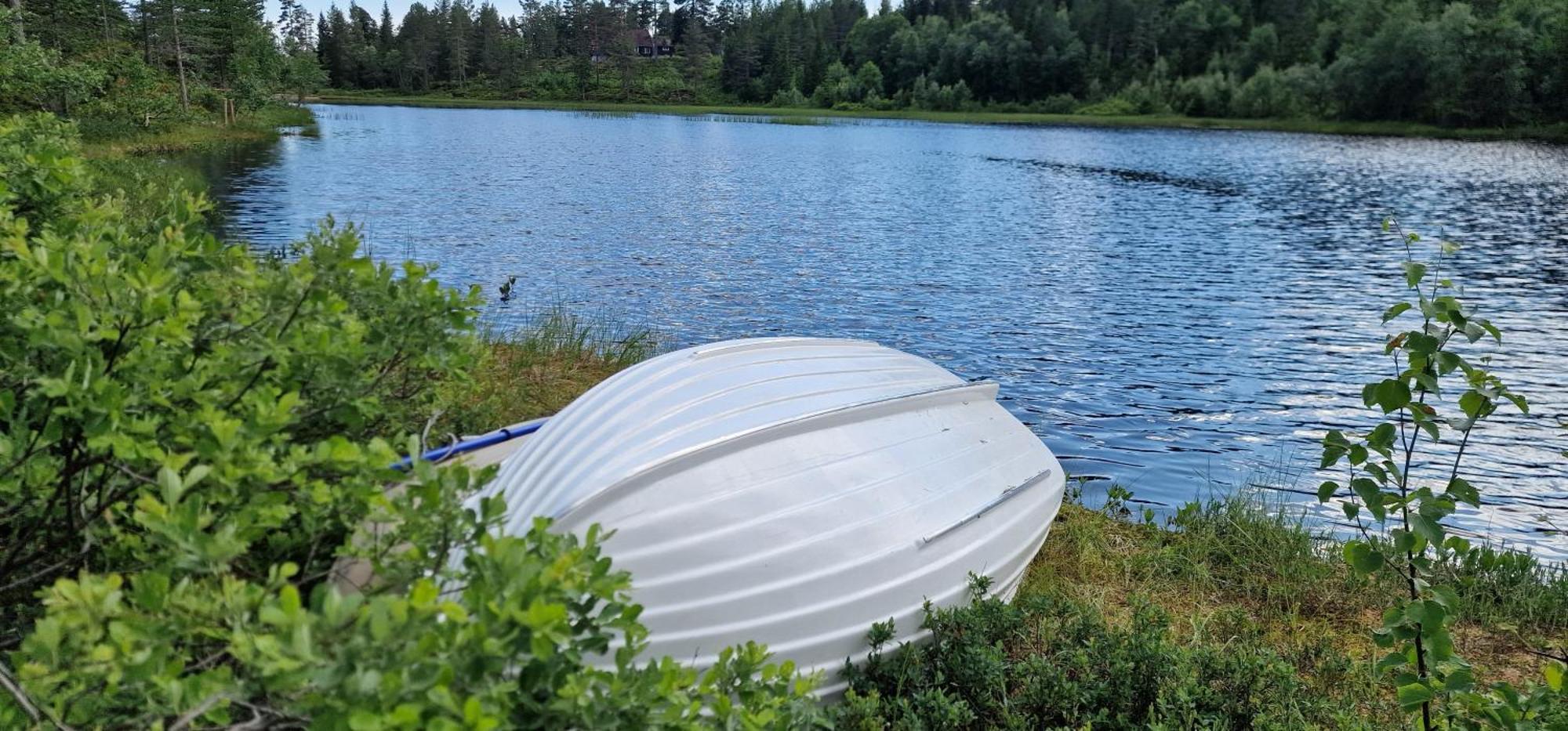Ro I Sjelen. Hytte Til Leie Pa Skrim. Kongsberg Extérieur photo