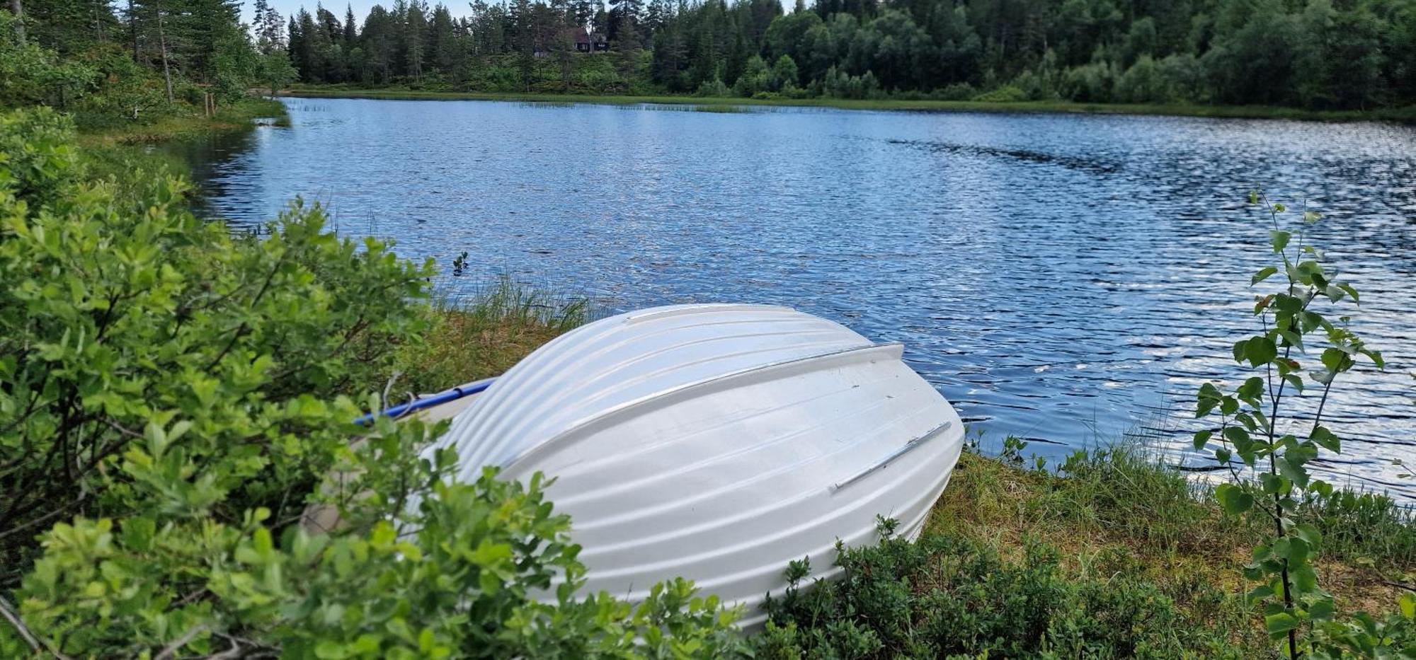 Ro I Sjelen. Hytte Til Leie Pa Skrim. Kongsberg Extérieur photo