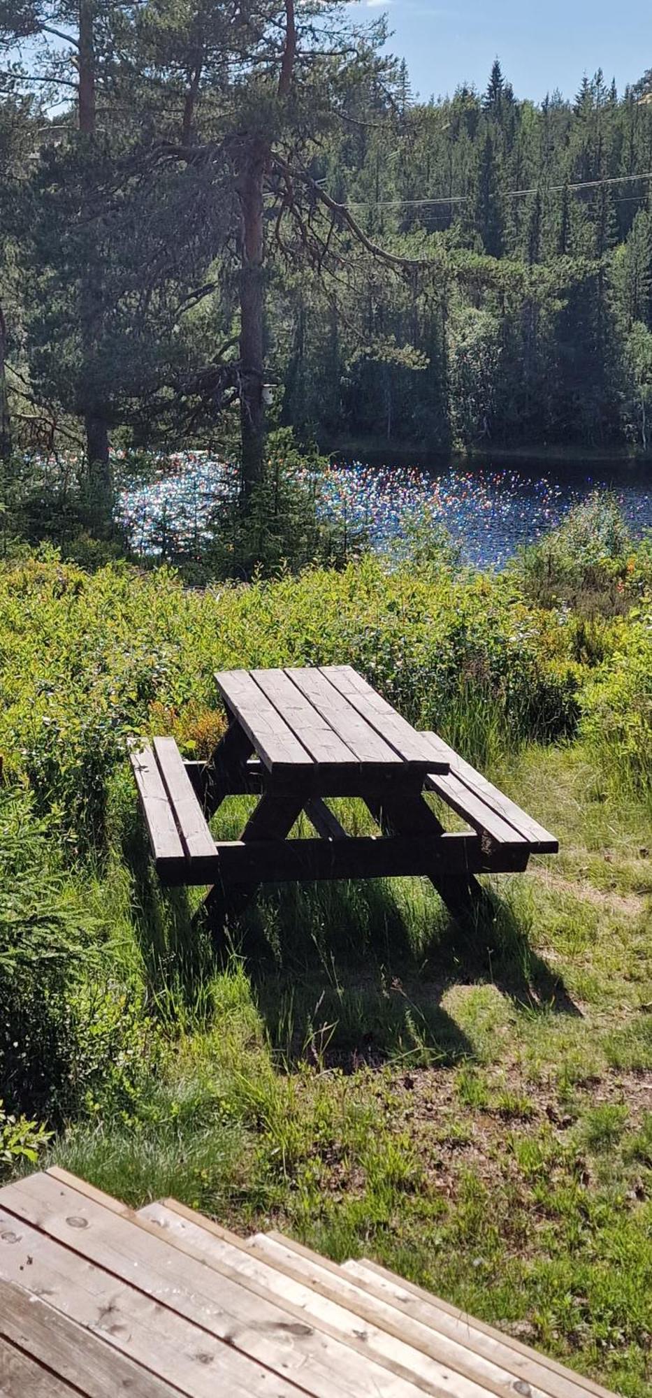 Ro I Sjelen. Hytte Til Leie Pa Skrim. Kongsberg Extérieur photo